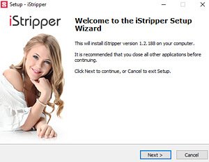 Virtuastrip Free Desktop Stripper Software install step 1