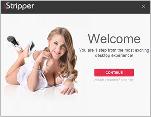Virtuastrip Free Desktop Stripper Software install step 3